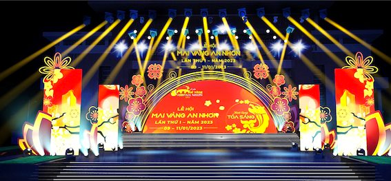 Binh Dinh은 2025년 제2회 An Nhon 황금 살구 축제 개최를 준비하고 있습니다.