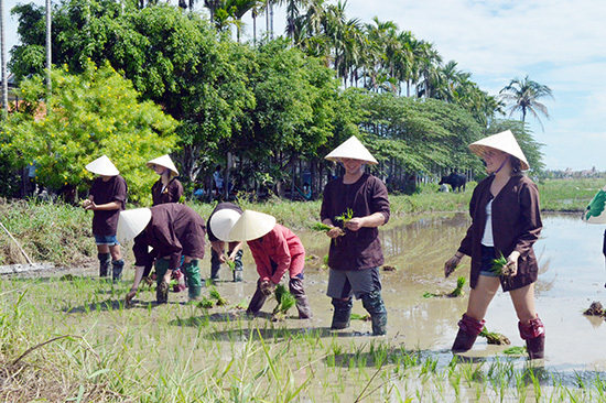 Tiềm năng du lịch nông thôn, du lịch cộng đồng của Việt Nam rất lớn