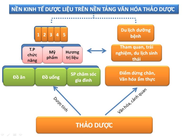 Chiến lược phát triển dược liệu gắn với phát triển du lịch Việt Nam