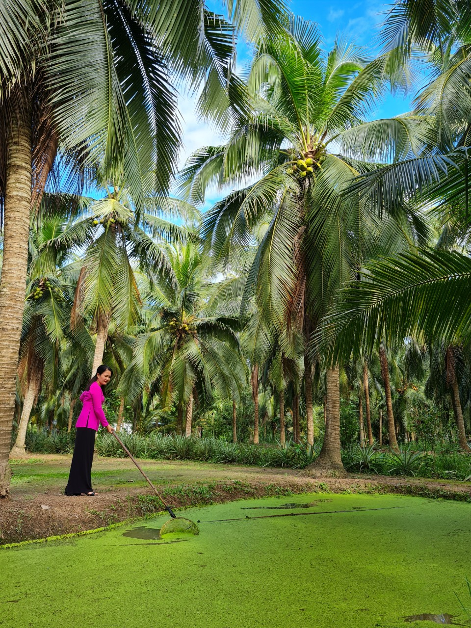 Mekong Delta Countryside Tour - Authentic Day as a Farmer