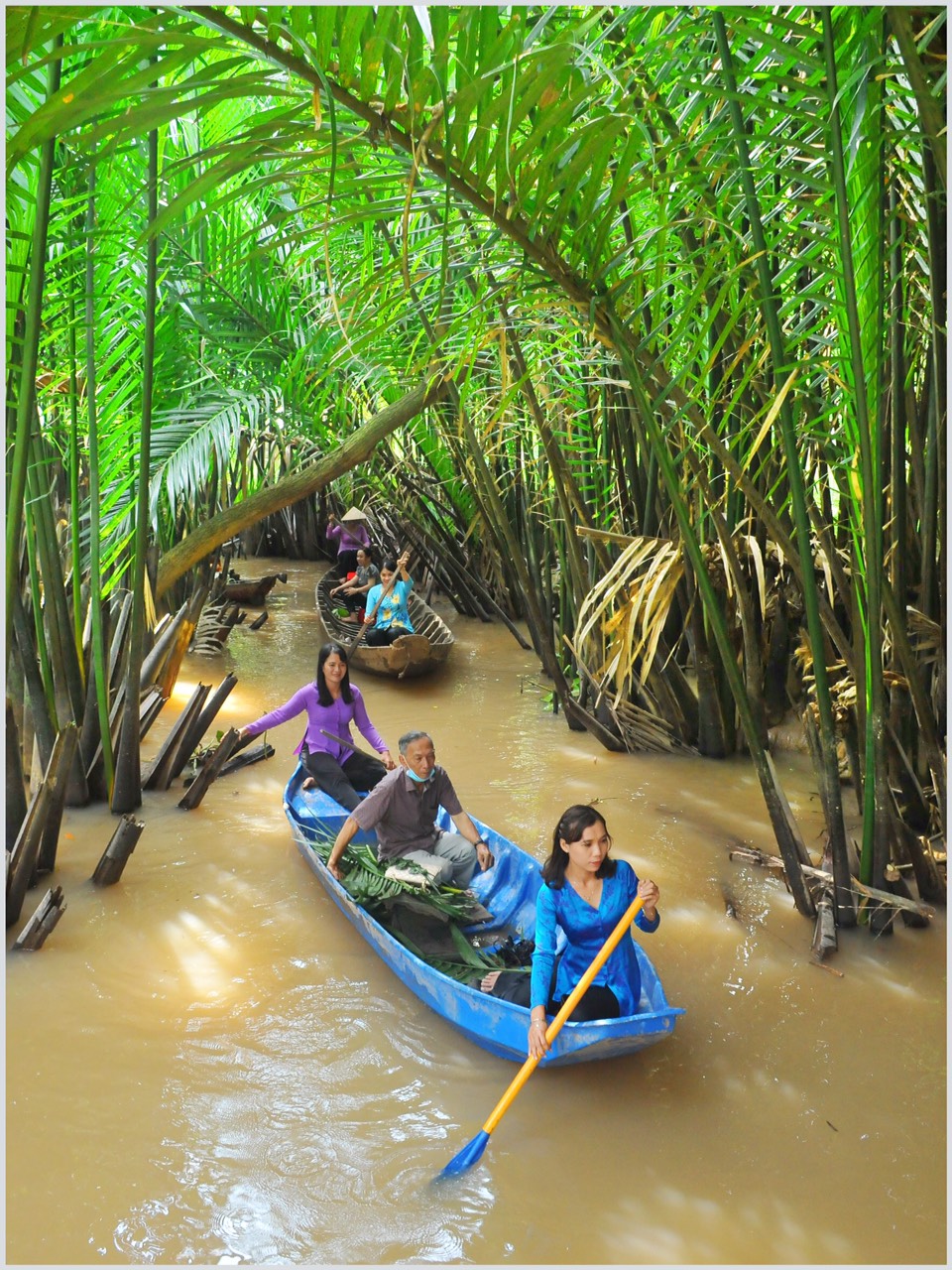Sông nước hữu tình giữa rừng dừa xanh bát ngát