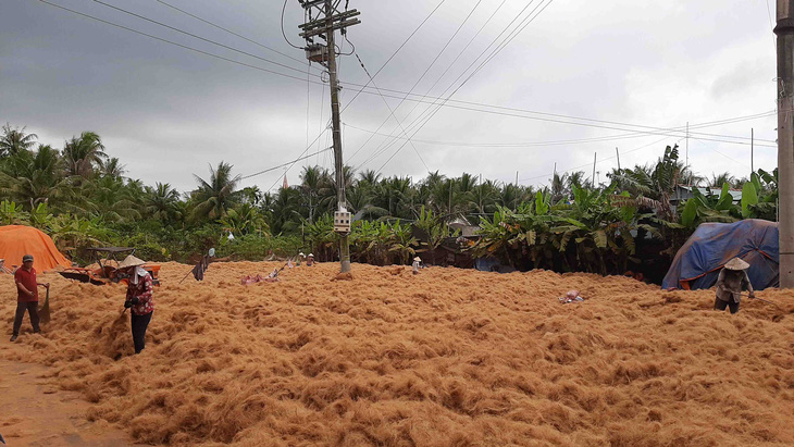 Độc đáo chợ dừa nổi Bến Tre - Kỳ cuối: Thành tỉ phú từ vỏ dừa vất bỏ