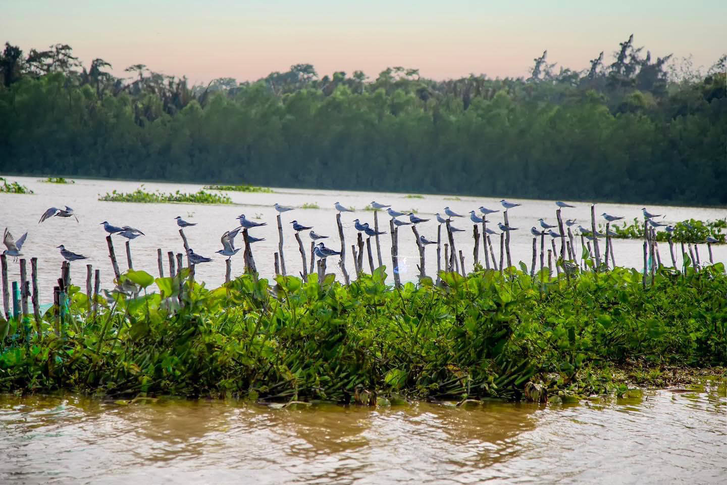 Recognizing the 10 outstanding tourist destinations in the Mekong Delta in 2023