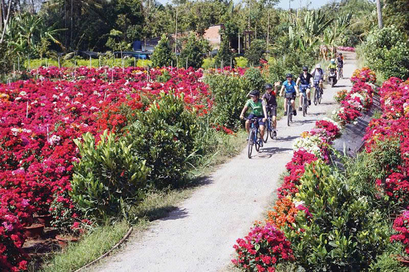 Lễ hội Hoa - Kiểng “Sắc màu Chợ Lách” - sự kiện chào xuân 2025