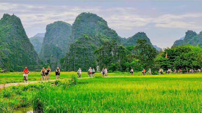 Việt Nam đón trên 14,1 triệu lượt khách quốc tế, tăng 41,3% so với năm 2023