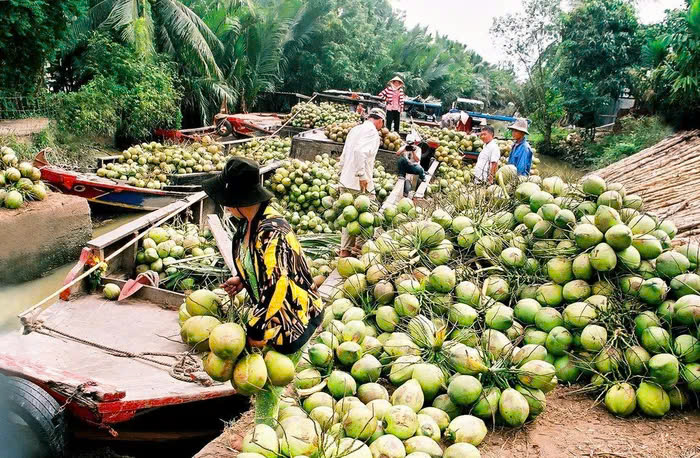 Khu chợ quanh năm chỉ bán duy nhất một đặc sản Bến Tre, lúc nào cũng tấp nập khách