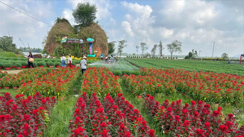 Đón hơn 9 triệu du khách, du lịch Bến Tre thu về hơn 11.000 tỉ đồng