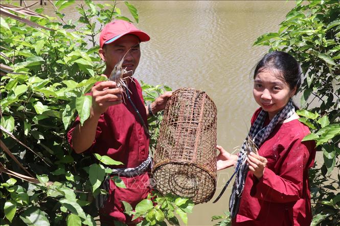 Đánh thức tiềm năng du lịch nơi 'Ba đảo dừa xanh' - Bài cuối: Xây dựng thương hiệu du lịch xứ Dừa