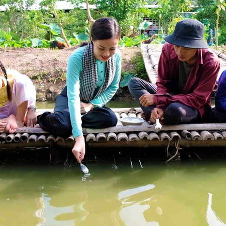 Tour tiêu chuẩn