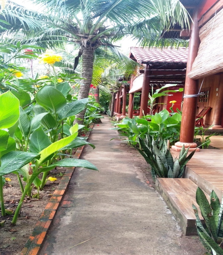  Coconut Homestay- The latent beauty among  the coconut garden