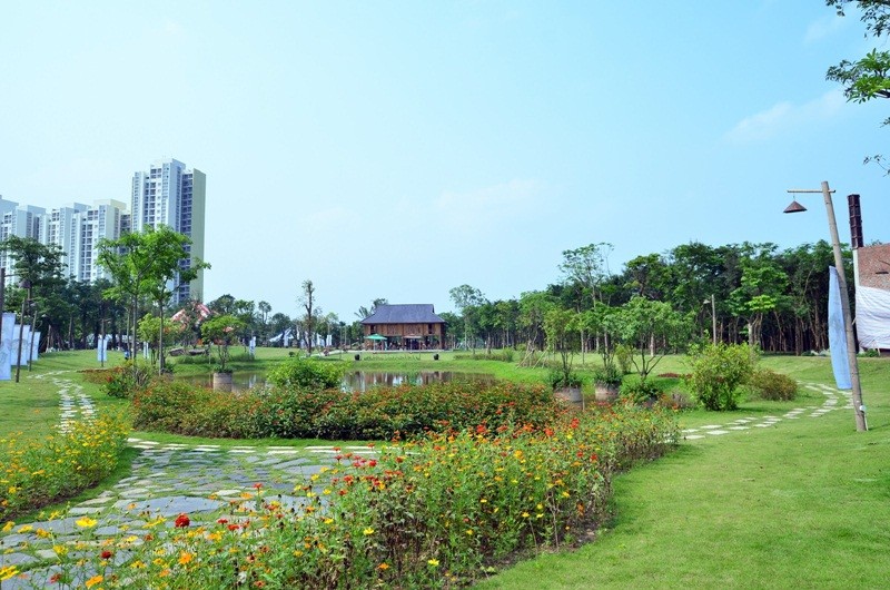 Tour tiêu chuẩn