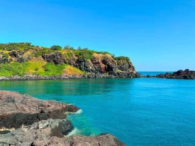 Hưởng ứng Ngày Môi trường thế giới và Tháng hành động vì môi trường