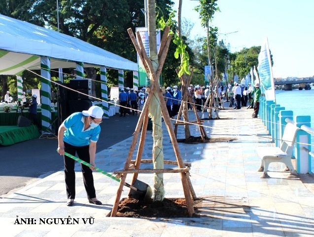 Binh Thuan launches tree planting on World Environment Day