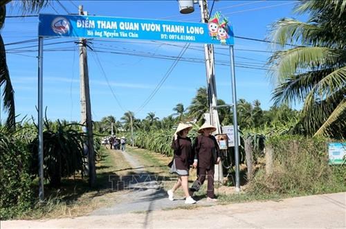 Tour Hàm Thuận Nam