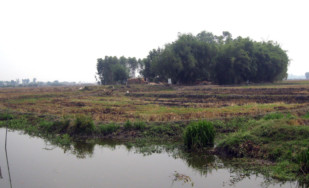 Go Duoi - residential relics and burial mounds of residents of the late metal age in Long An.
