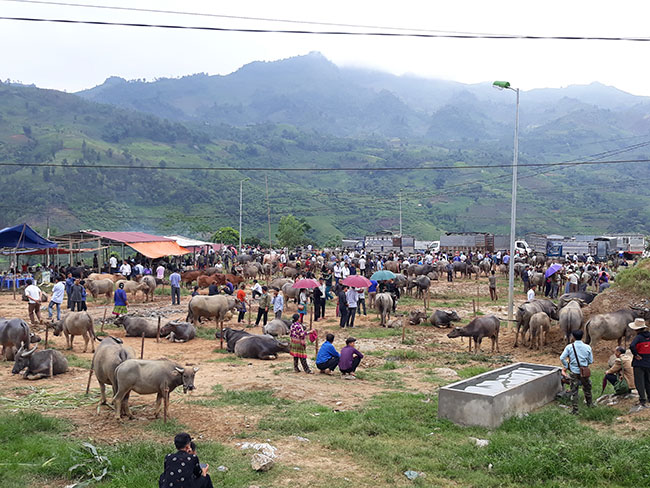 Discover the market of Coc Ly - Bac Ha