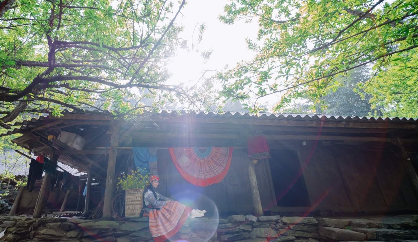 Đến nhà Say’House Tả Van Chư thưởng thức mận Tả Van, trải nghiệm văn hóa Mông