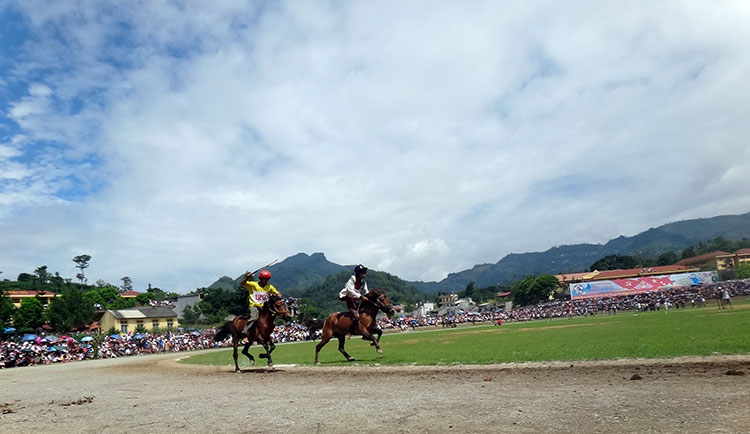 Bac Ha traditional horse racing, Lao Cai - unique race in Vietnam