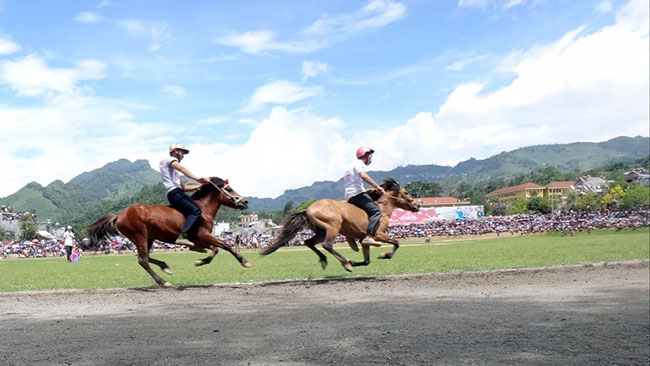 Lịch sử lễ hội đua ngựa Bắc Hà, Lào Cai