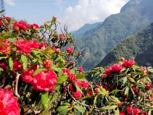 Best Time To Visit Sapa