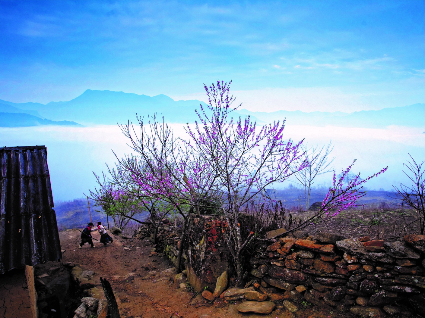 Explore the beauty of spring in Lao Cai