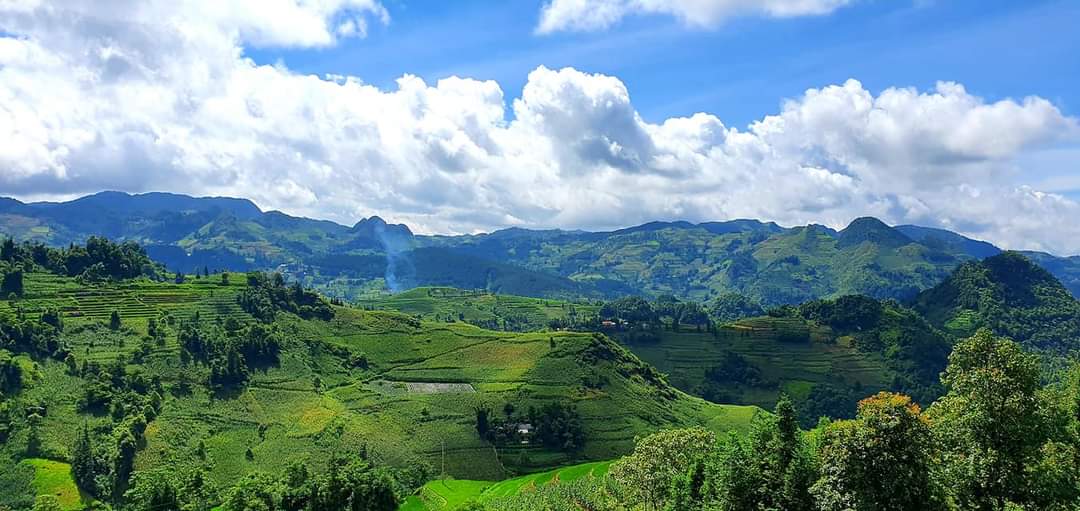 In June, see the green rice fields and corn fields in the highlands of Lao Cai