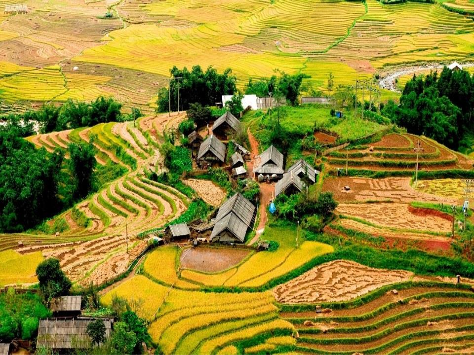 Điểm du lịch Thung Lũng Mường Hoa