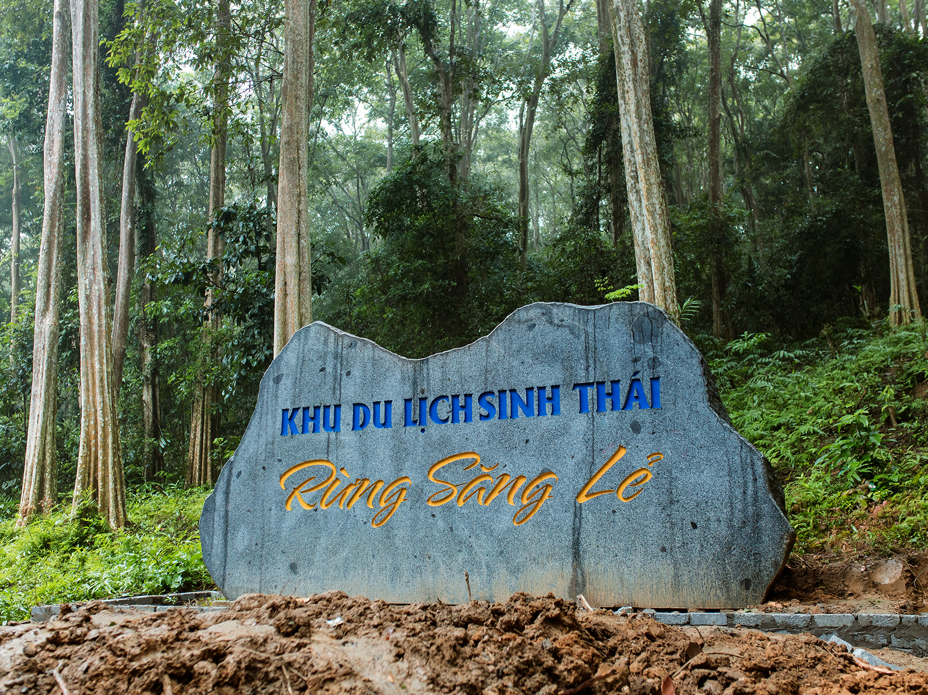 TAM DINH LARGERSTROMIA FOREST