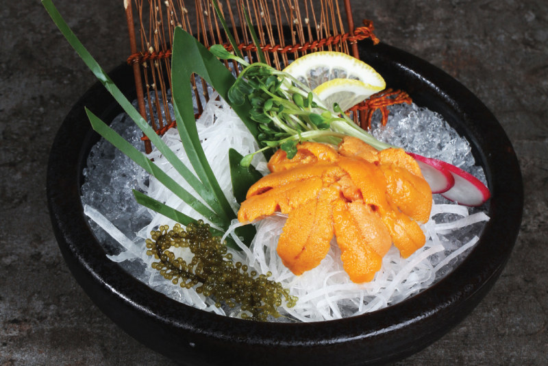 Samishi urchin Japan
