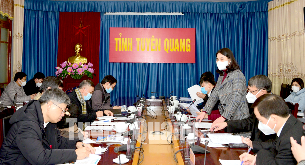 Công ty cổ phần Đầu tư và Tư vấn Du lịch Việt Nam mong muốn hợp tác với Tuyên Quang.