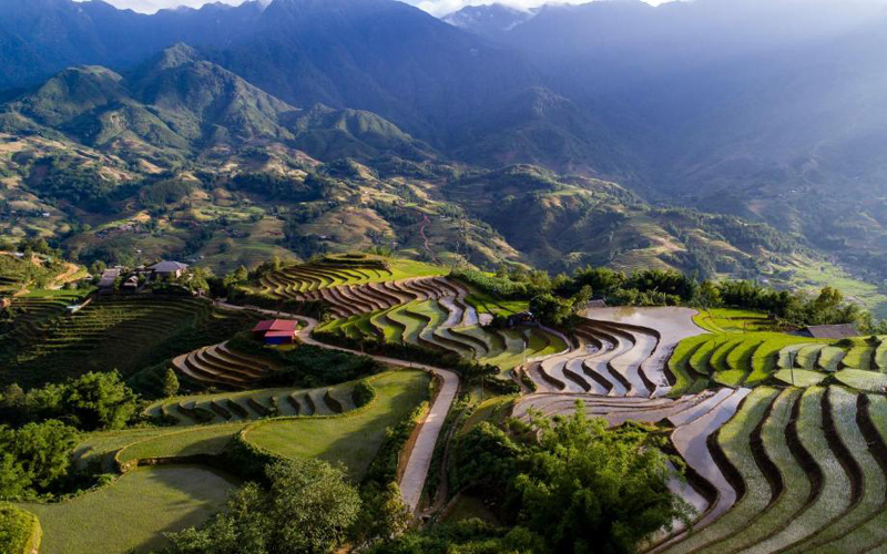 Vietnam is still an attractive destination for international visitors