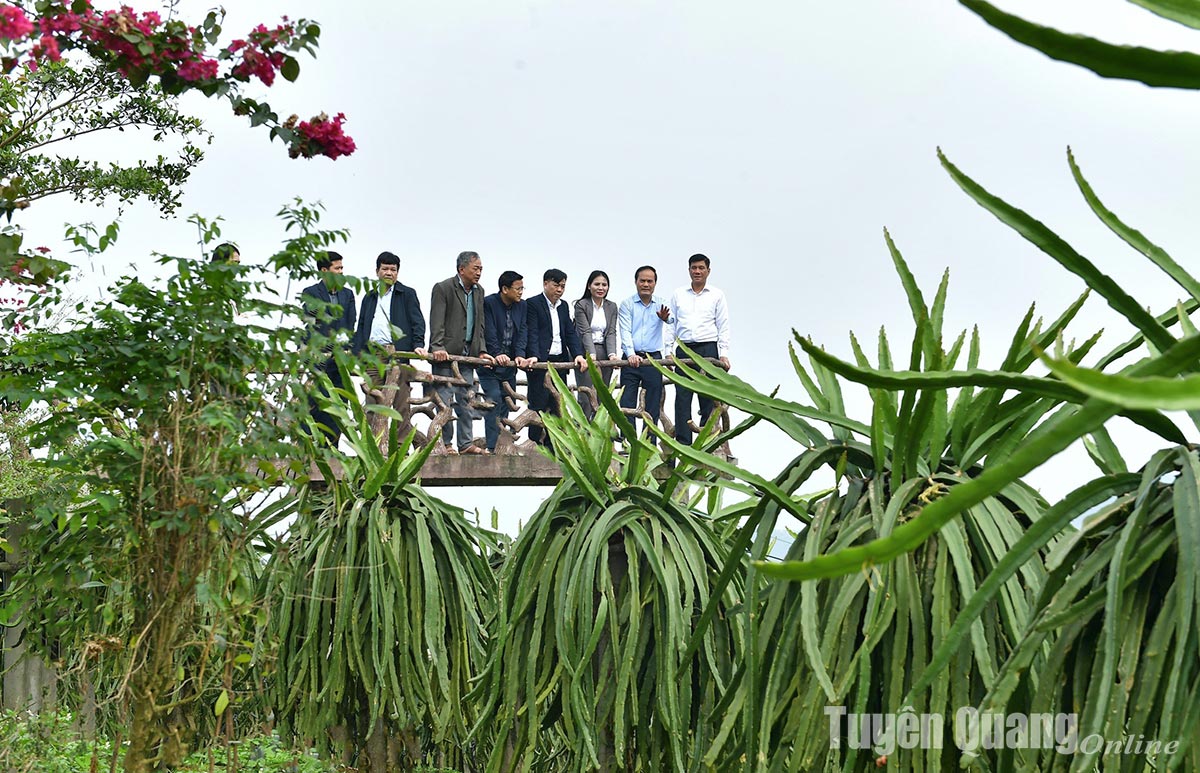 Hàm Yên có nhiều tiềm năng phát triển du lịch trang trại