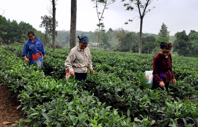 Phát triển du lịch cộng đồng là trọng tâm trong phát triển du lịch nông thôn