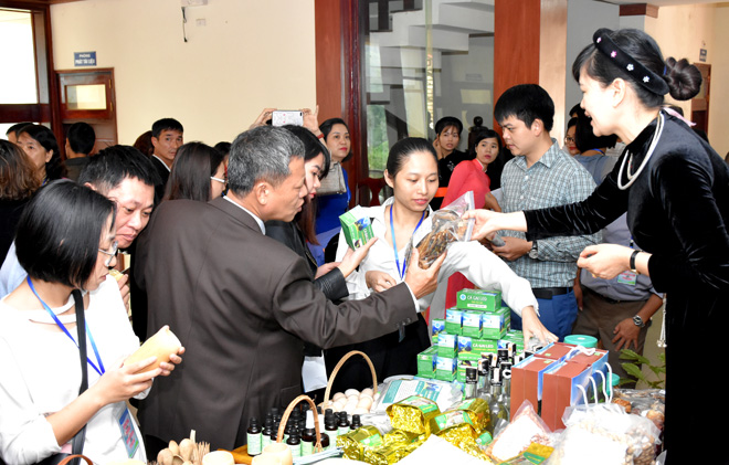 Lam Binh promotes and exploits the potential of tourism development