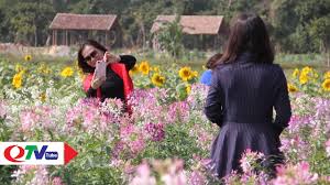 Quảng Ninh: Rực rỡ những thiên đường hoa