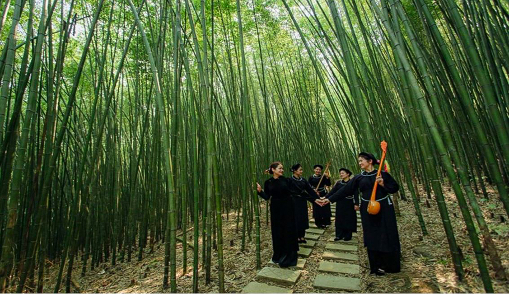 Rừng trúc Bản Phường - Miền xanh yên bình