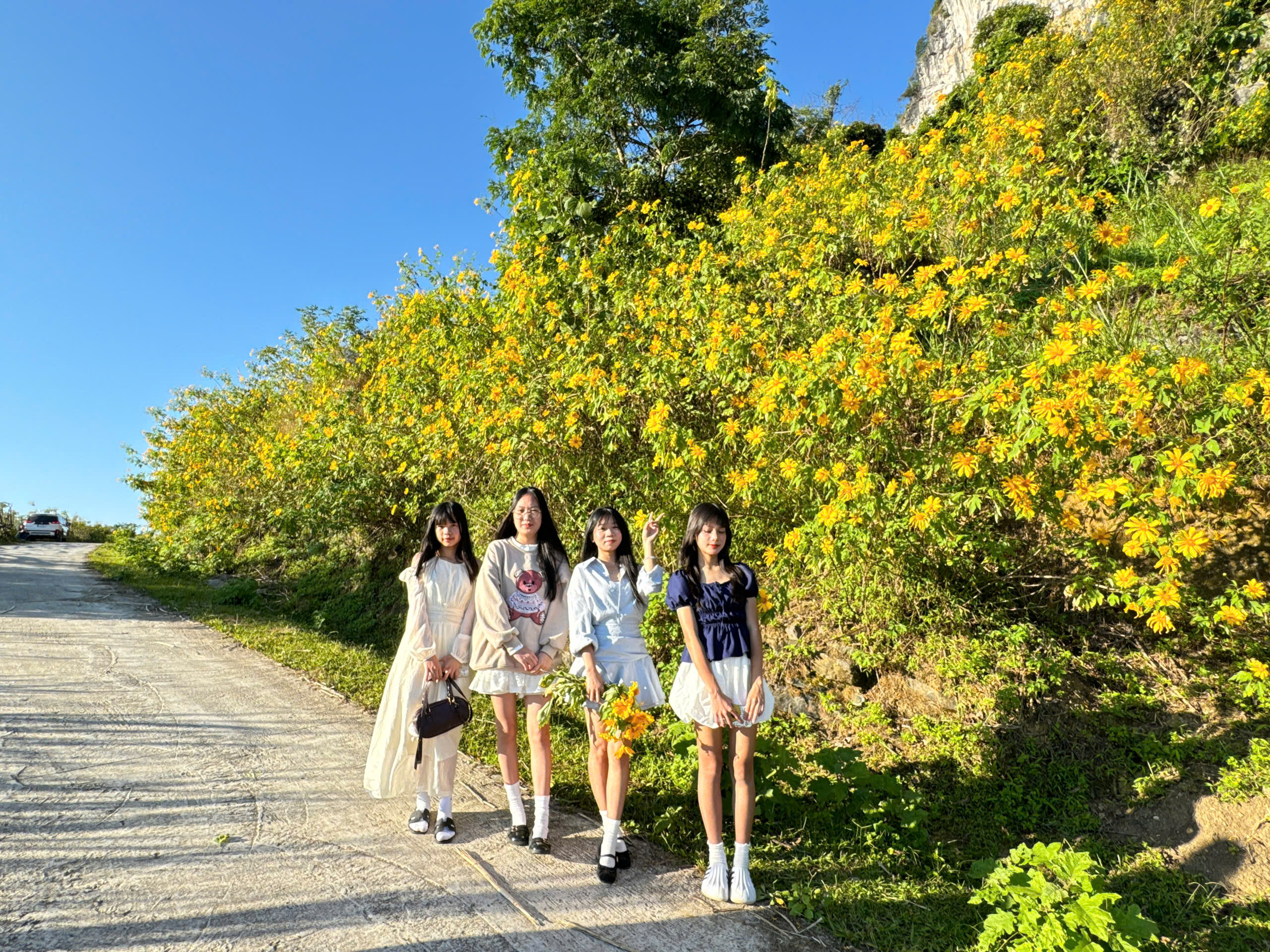 Hoa dã quỳ - Nét vàng rực rỡ giữa núi rừng miền biên viễn