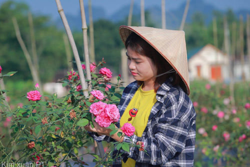 Đoàn Thu Trà – Thanh niên đi đầu phát triển du lịch nhà vườn  ở Cao Bằng