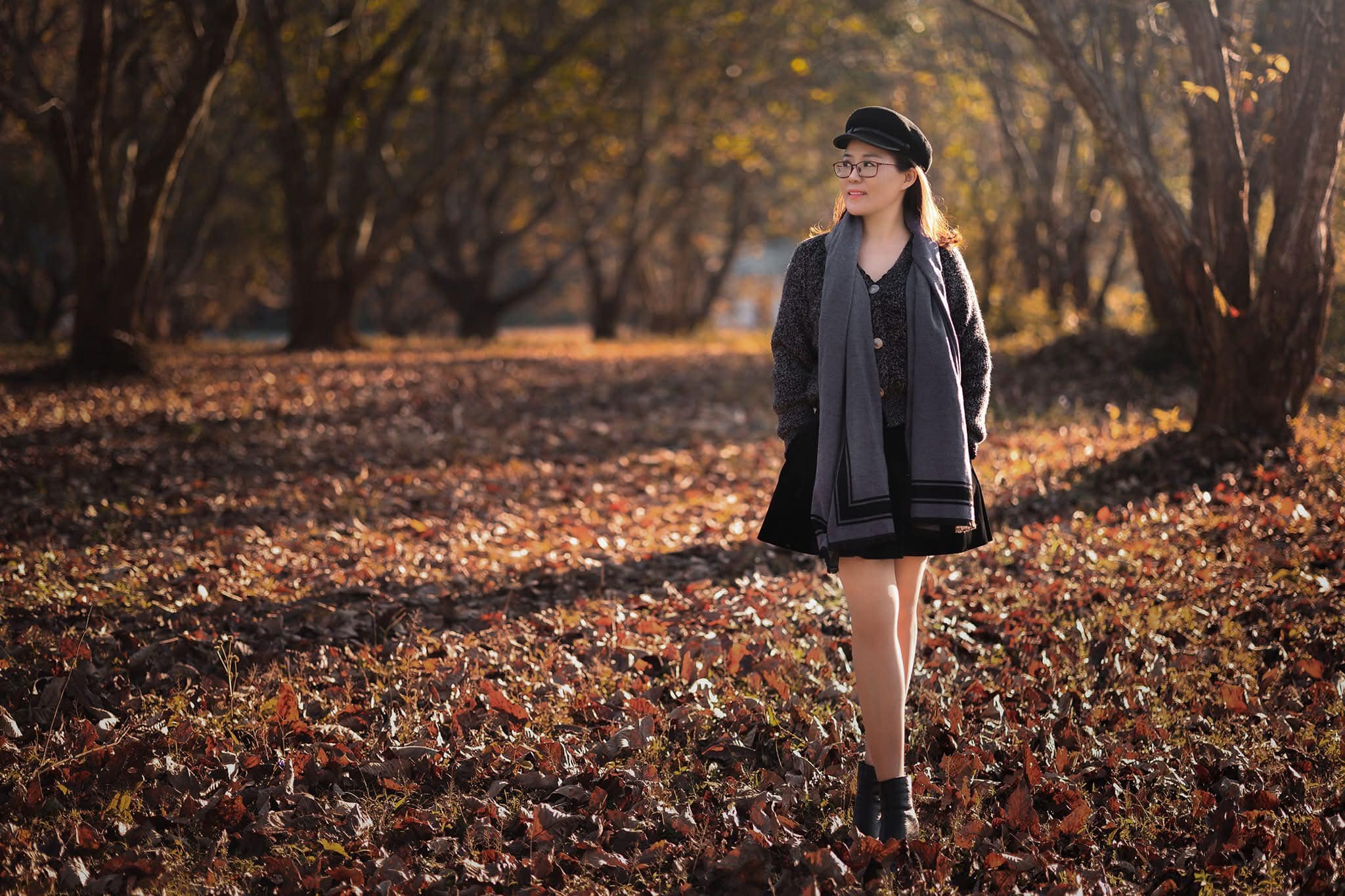 Vườn dẻ Trùng Khánh quyến rũ những ngày Đông