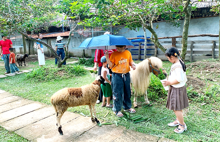 Cần Thơ đón khoảng 256.400 lượt khách tham quan trong dịp nghỉ Lễ 2-9 