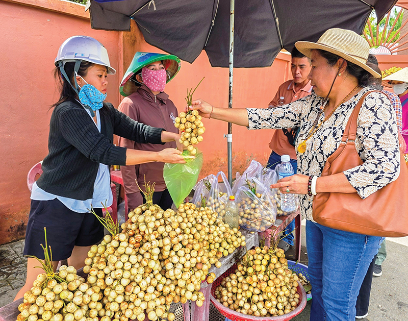 Mùa dâu Hạ Châu 