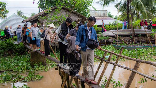 Cồn Sơn - nơi bản sắc địa phương chạm tới trái tim du khách
