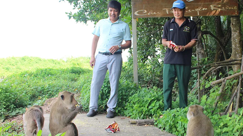 Khám phá du lịch sinh thái Cù Lao Dung 
