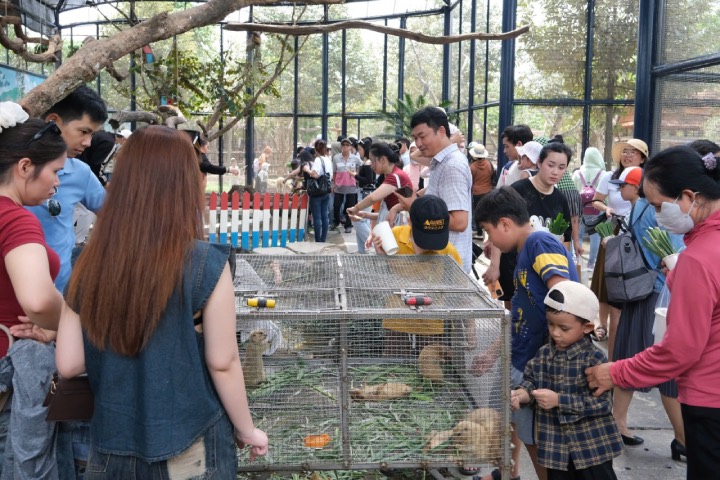 Đông nghẹt người xem vườn thú, chơi team building ở Cần Thơ