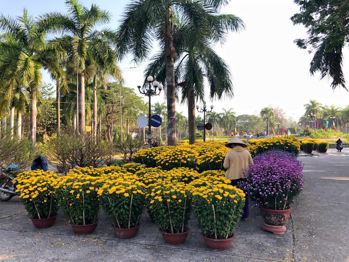 SÔI NỔI CHỢ HOA XUÂN BÍNH NGỌ NĂM 2026 TẠI KHU VĂN HÓA HỒ NƯỚC NGỌT, PHƯỜNG SÓC TRĂNG