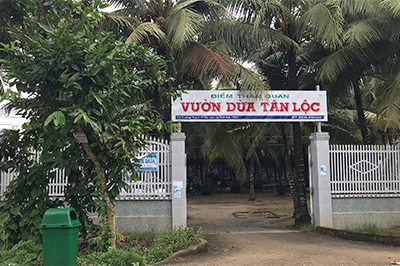 Tan Loc coconut garden