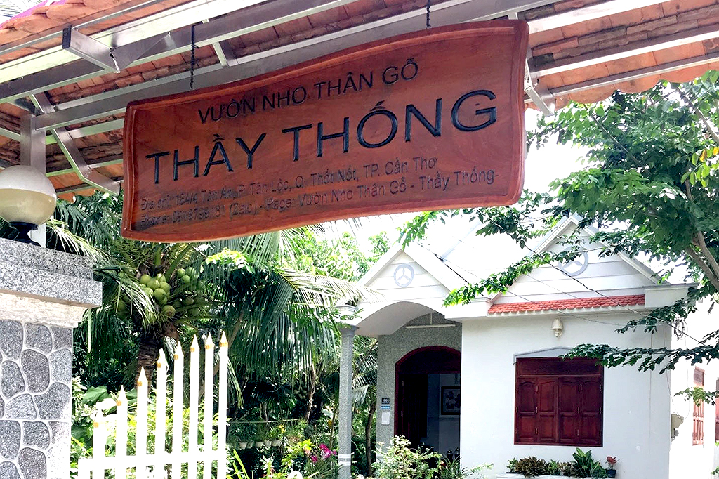  Vineyard - Thong  teacher