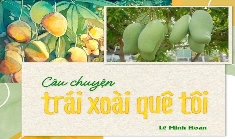 Câu chuyện trái xoài quê tôi