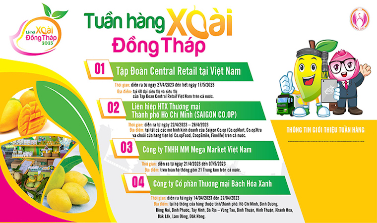 Đồng Tháp đưa xoài tiêu thụ tại 04 hệ thống phân phối hiện đại