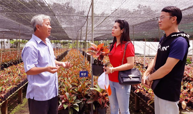 Hà Nội - Đồng Tháp hợp tác khai thác du lịch nông nghiệp